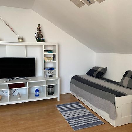 Апартаменты Skylight Loft Клуж-Напока Экстерьер фото