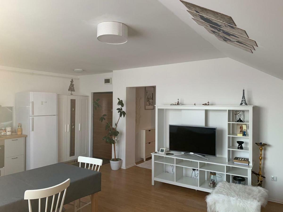 Апартаменты Skylight Loft Клуж-Напока Экстерьер фото